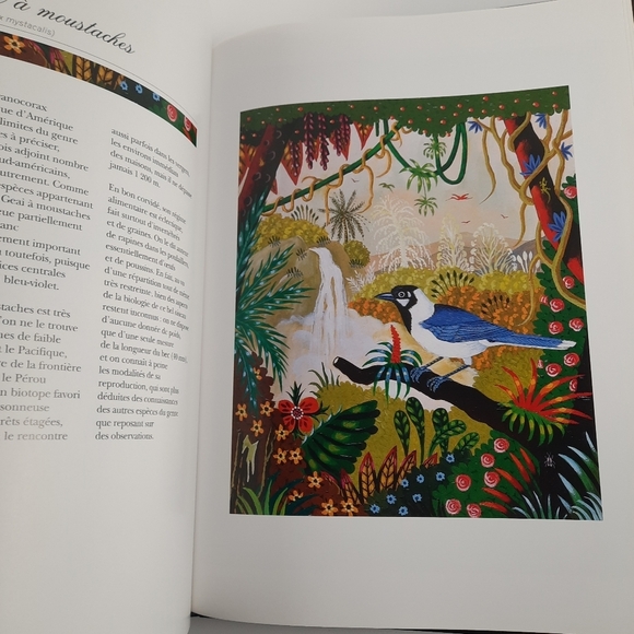 FRENCH BOOK + LITHOGRAPH Signed Alain Thomas Les Oiseaux d'Amerique du Sud Birds - Picture 11 of 14